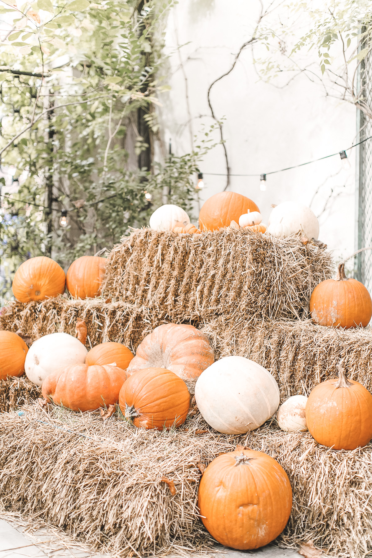 12 Family Friendly Fall Activities You Should Put on Your Calendar Now!